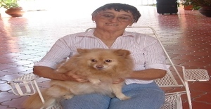 Tampicohermoso 78 anos Sou de Madero/Zacatecas, Procuro Encontros Amizade com Homem